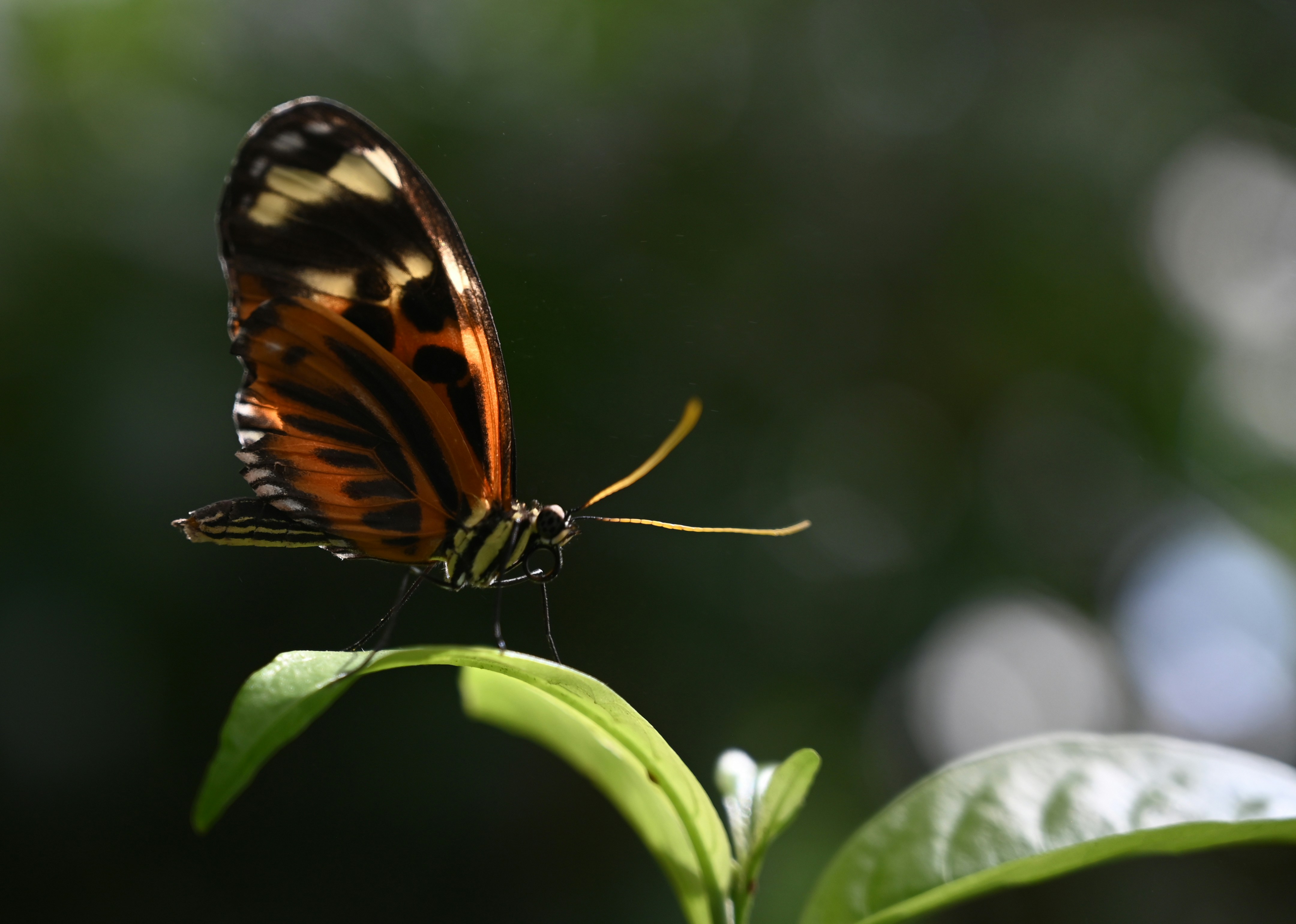 Photo by robert_inze