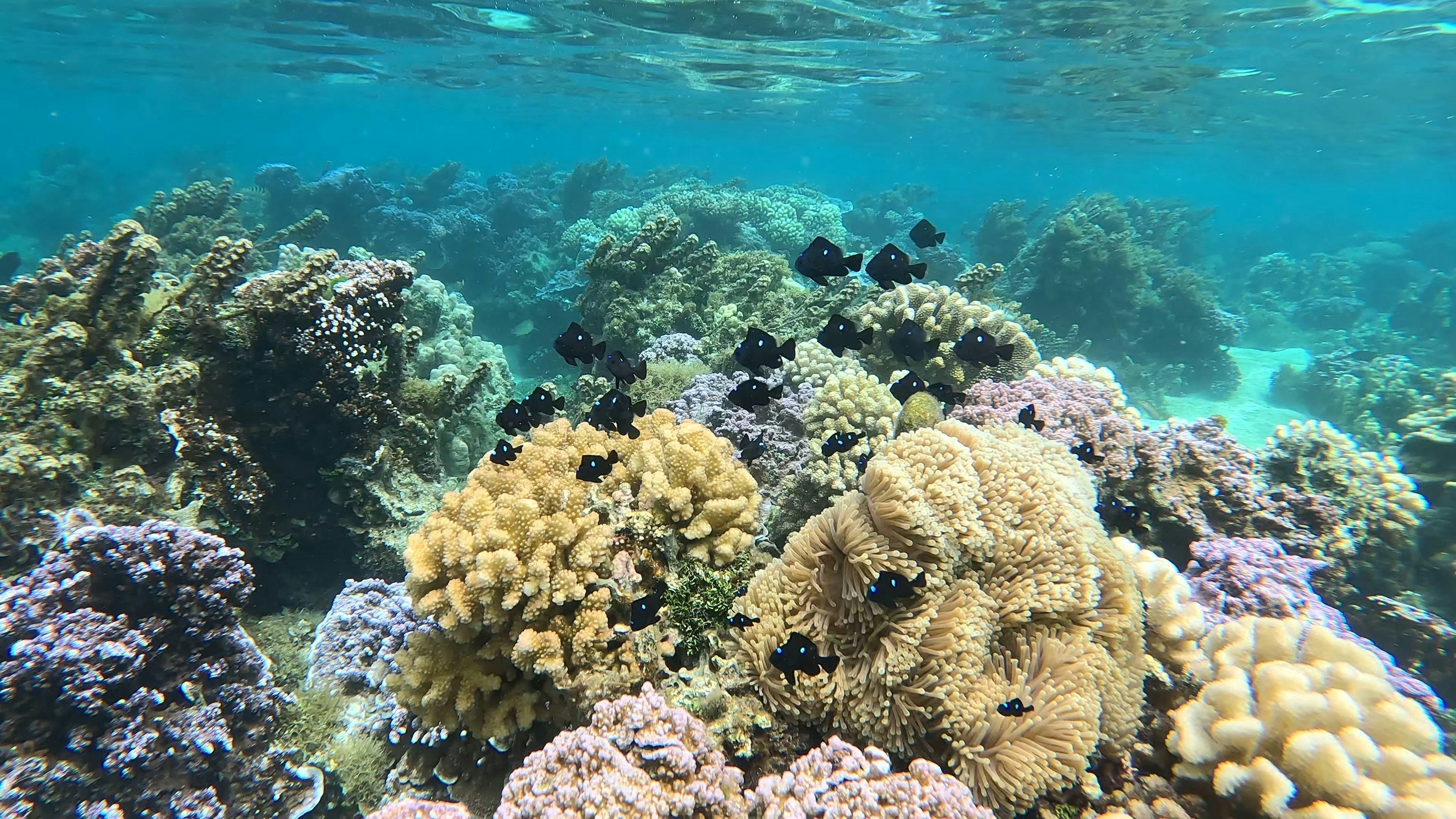 Photo by sachatoille