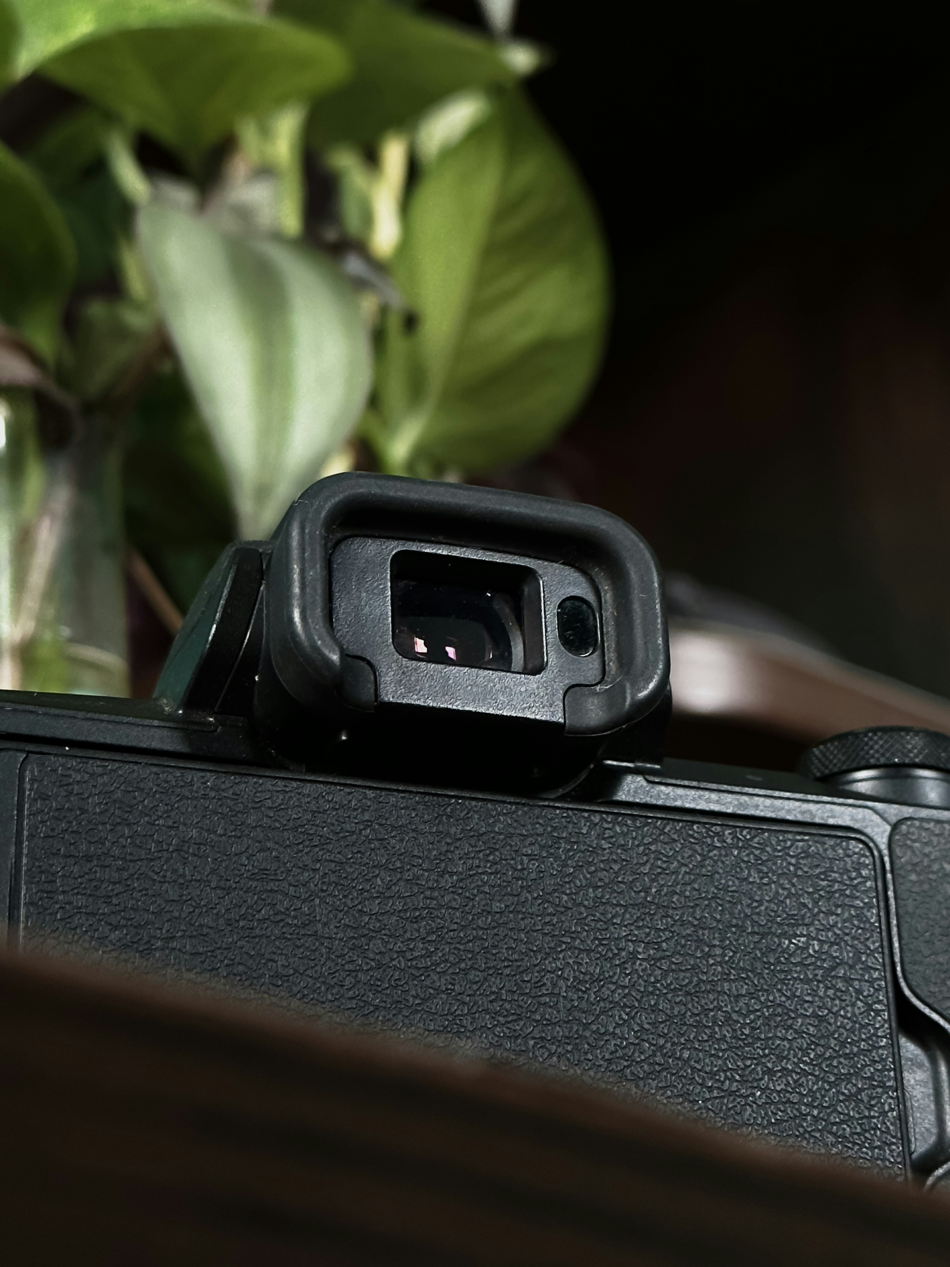 Photo by tareq_hasan