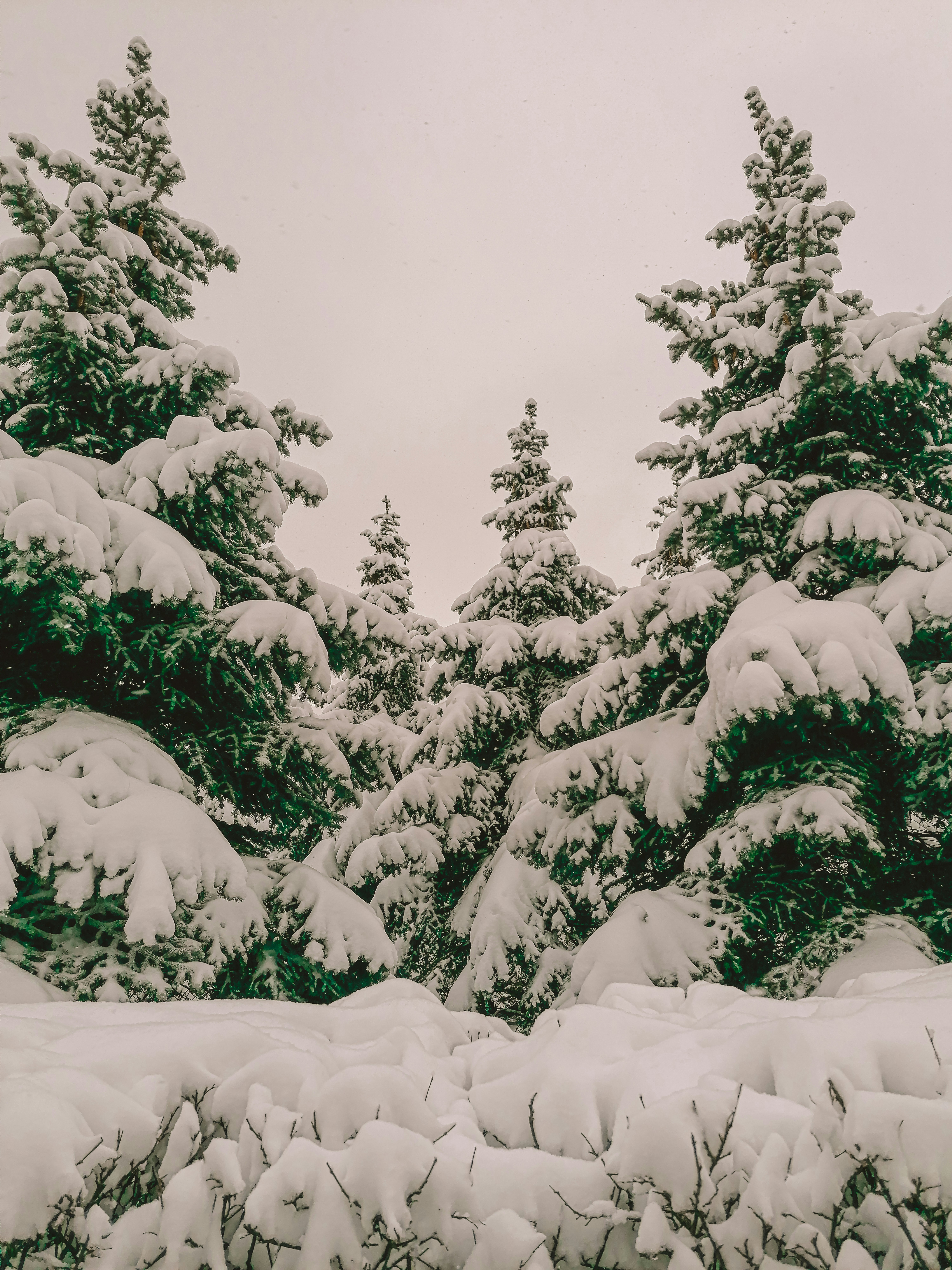 Photo by mariamaximova