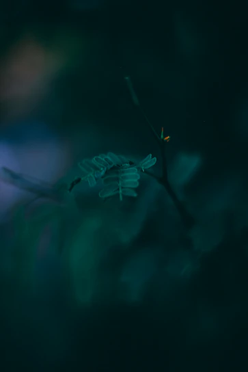 A serene image of a delicate haiku poem on a leaf, surrounded by soft natural light and peaceful colors.