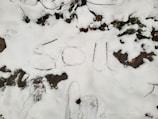 Snow-covered ground with the word 'SOUL' written in the snow. Footprints and some exposed patches of grass or leaves are visible.