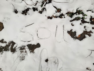 Snow-covered ground with the word 'SOUL' written in the snow. Footprints and some exposed patches of grass or leaves are visible.