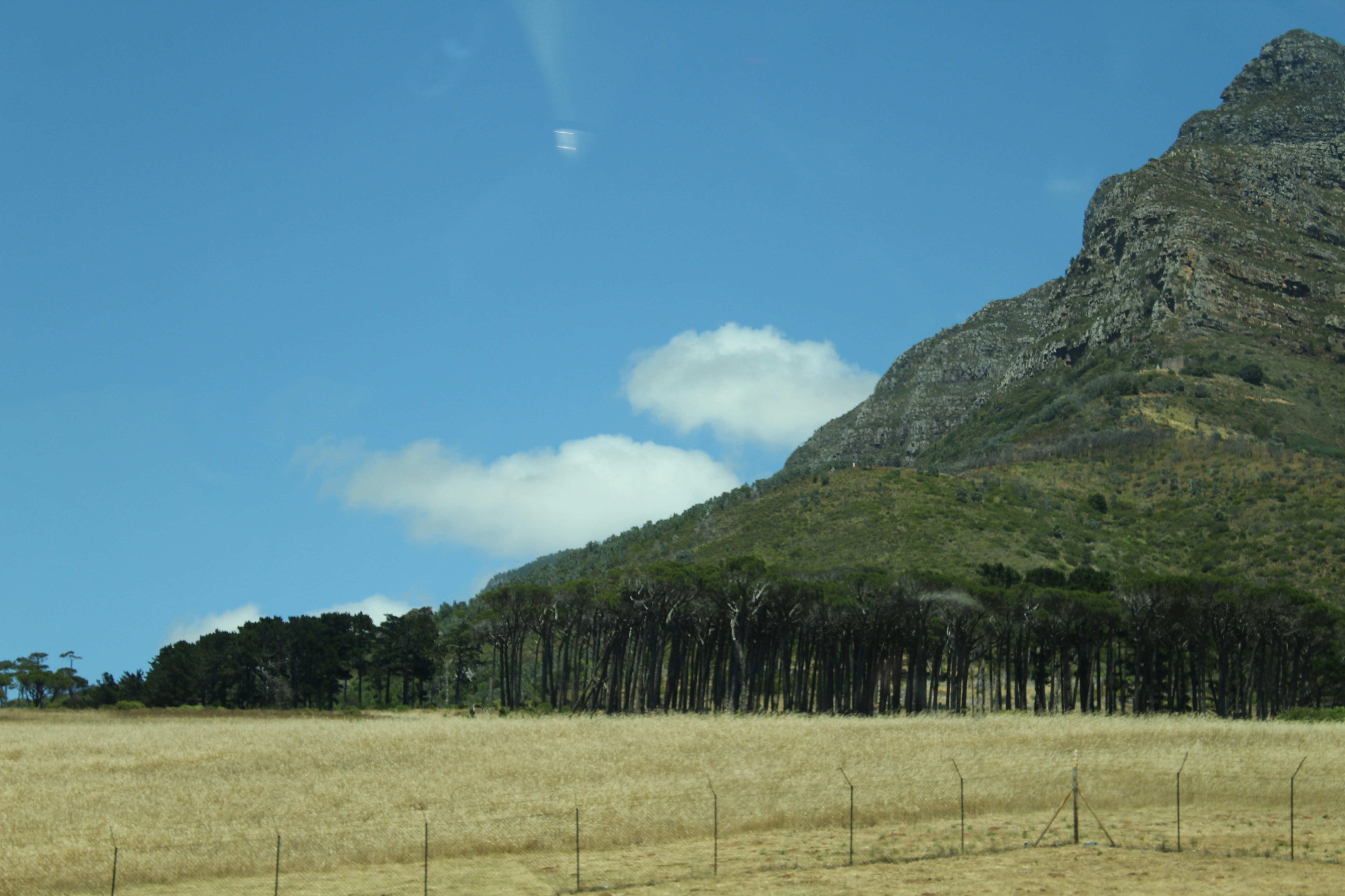 Photo by baksteroo18