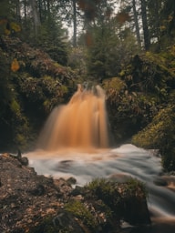 a small waterfall in the middle of a forest