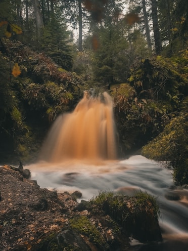 a small waterfall in the middle of a forest