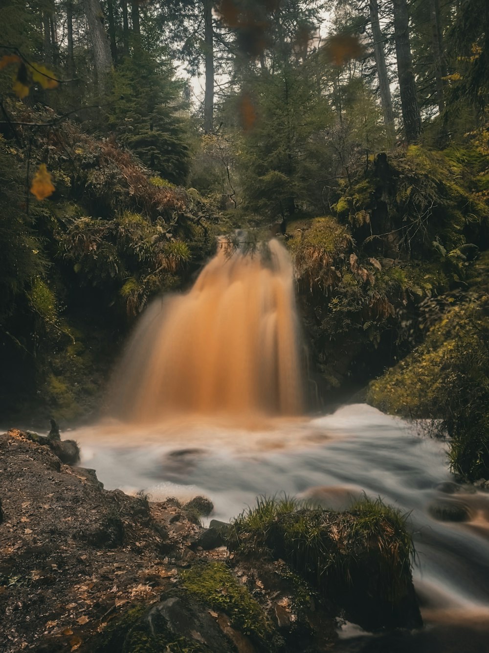 a small waterfall in the middle of a forest