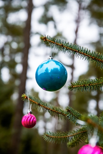 Close-up of colorful, eco-friendly Christmas ornaments hanging on a pine tree branch.