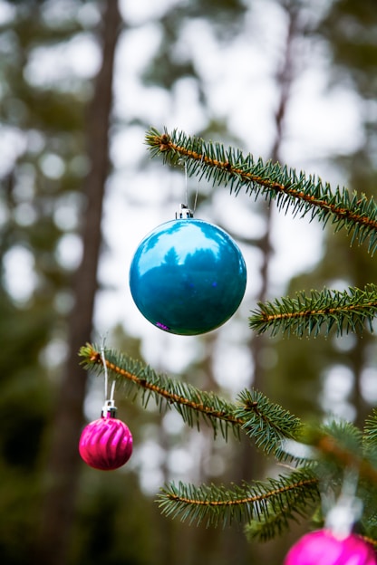 Close-up of colorful, eco-friendly Christmas ornaments hanging on a pine tree branch.