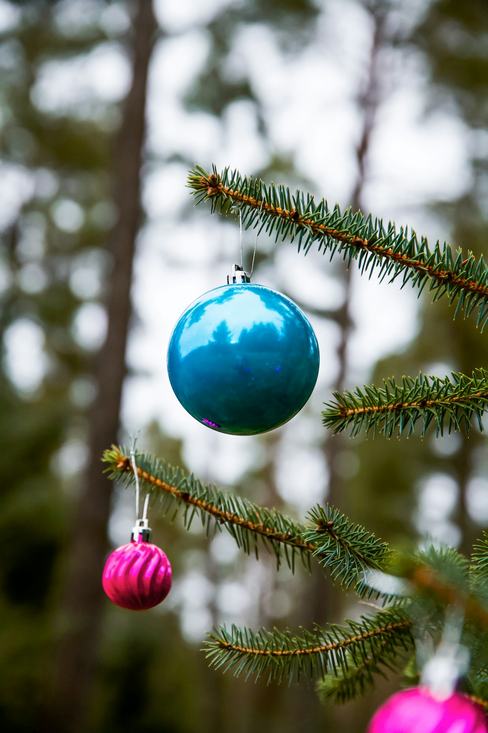 a blue and pink ornament hanging from a pine tree