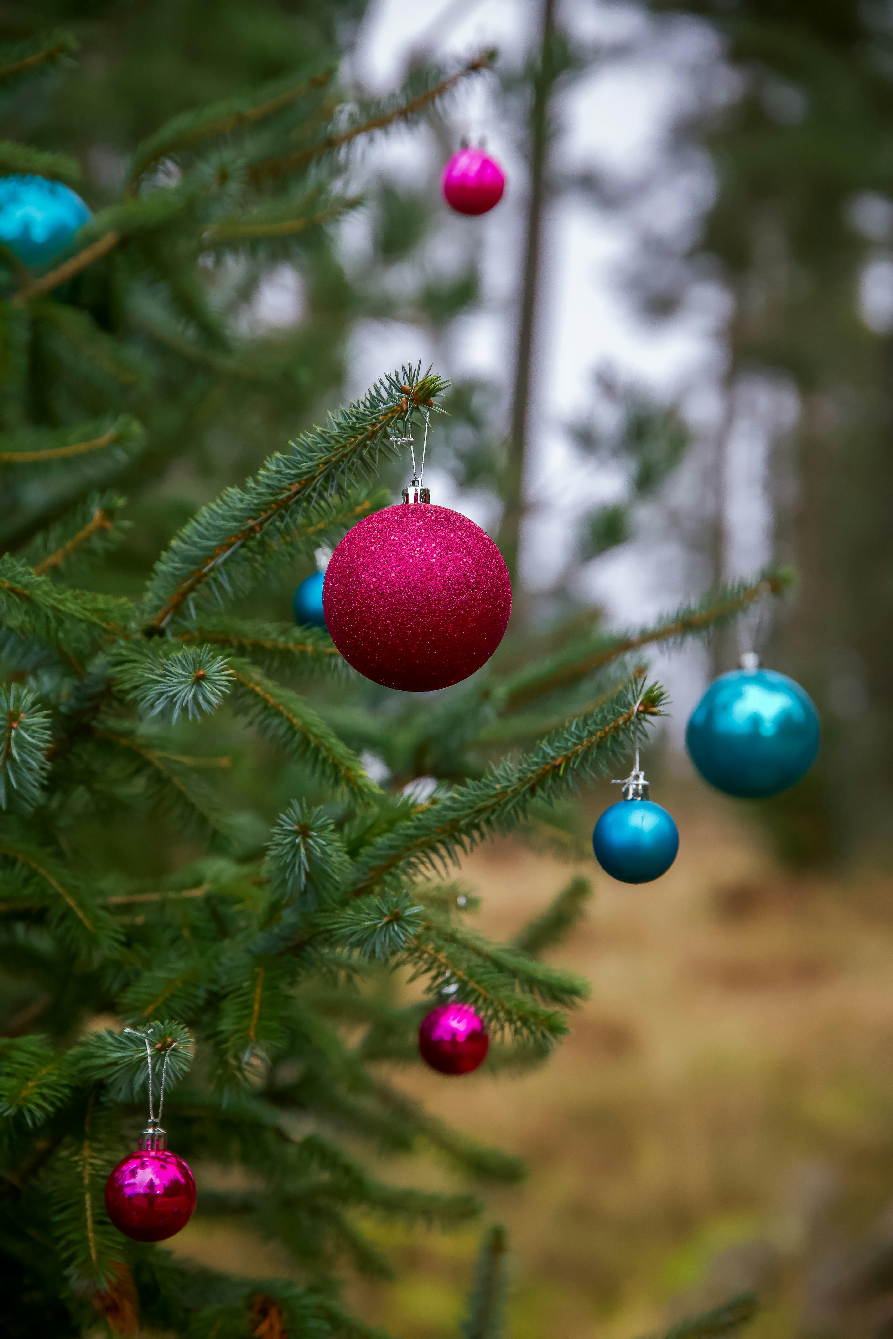 Eco-Friendly Christmas Magic