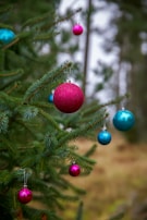 Close-up of vibrant, odorless ornaments hanging on a beautifully decorated Christmas tree.