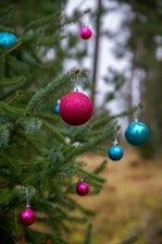Close-up of bright, eco-friendly Christmas ornaments hanging on a beautifully decorated tree.