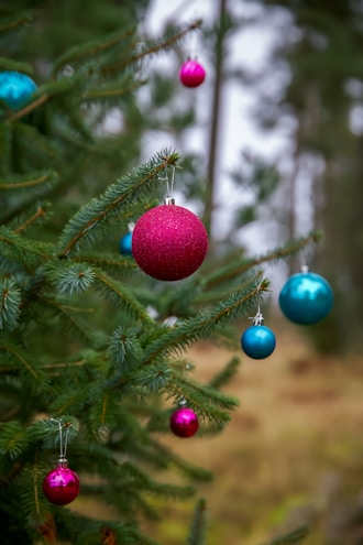 Close-up of colorful Christmas ornaments hanging on a festive tree branch.