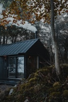 A cozy cabin in the woods, representing the author's inspiration.