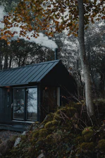 A cozy family cabin nestled among tall trees with warm earth tones in the surroundings.