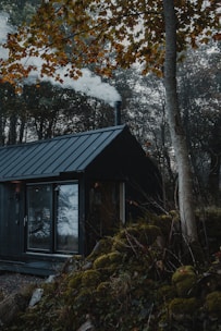 A cozy cottage in the woods.