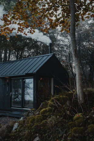 A cozy family cabin nestled among tall trees with warm earth tones in the surroundings.