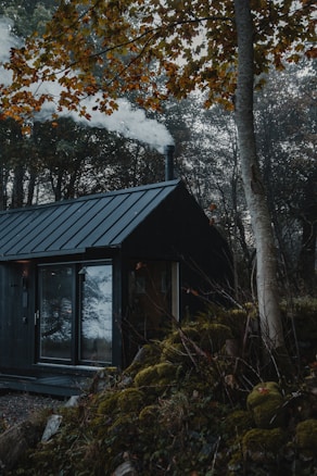 A cozy, dark wooden cabin nestled in a dense forest, surrounded by trees with autumn leaves. Smoke is gently rising from a chimney, suggesting warmth inside. Moss-covered rocks and branches add to the natural setting, creating a serene and secluded atmosphere.