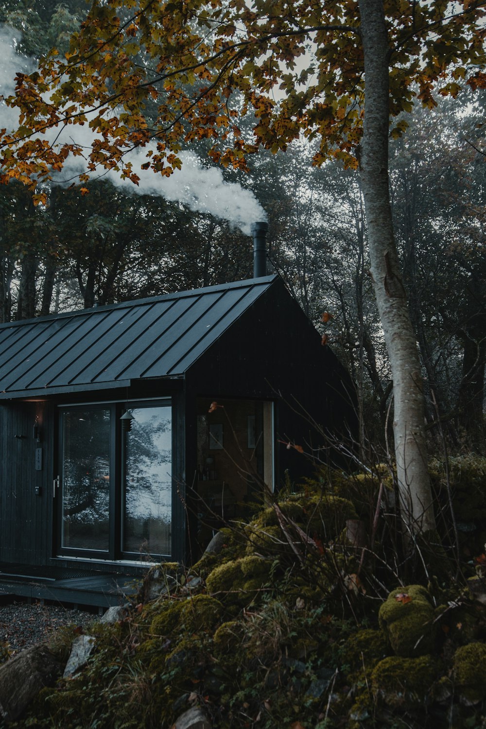 una pequeña cabaña en el bosque con humo saliendo de la chimenea