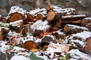 Hochwertiges Brennholz