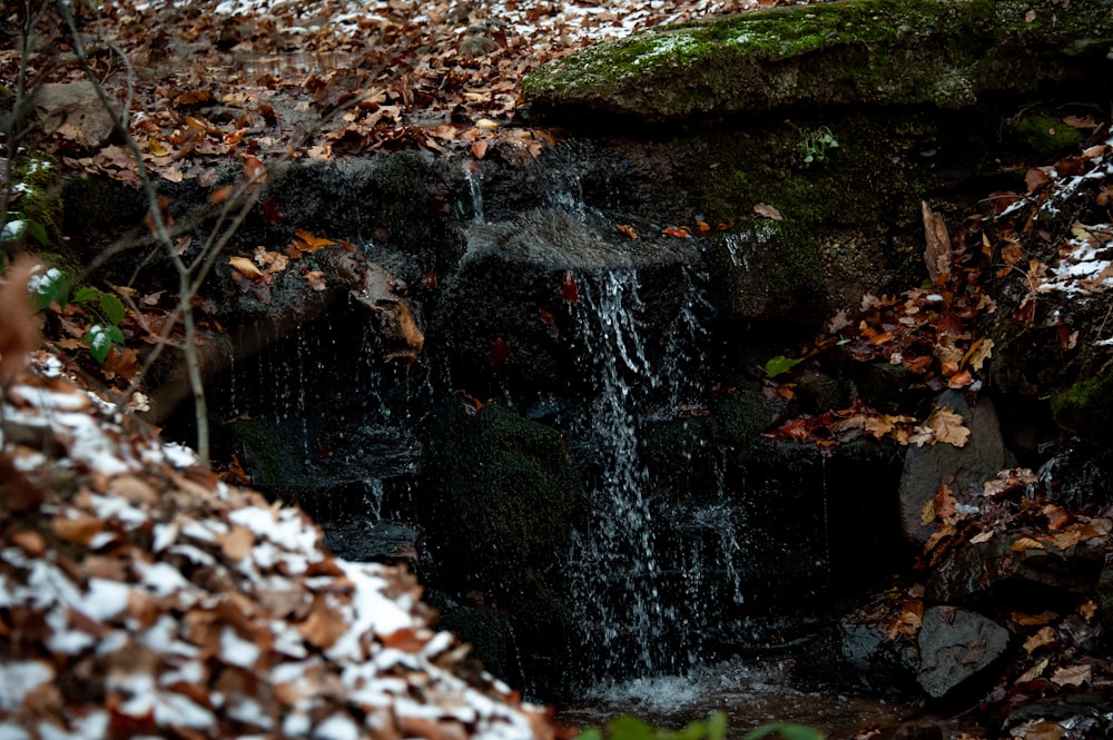 a small waterfall in the middle of a forest