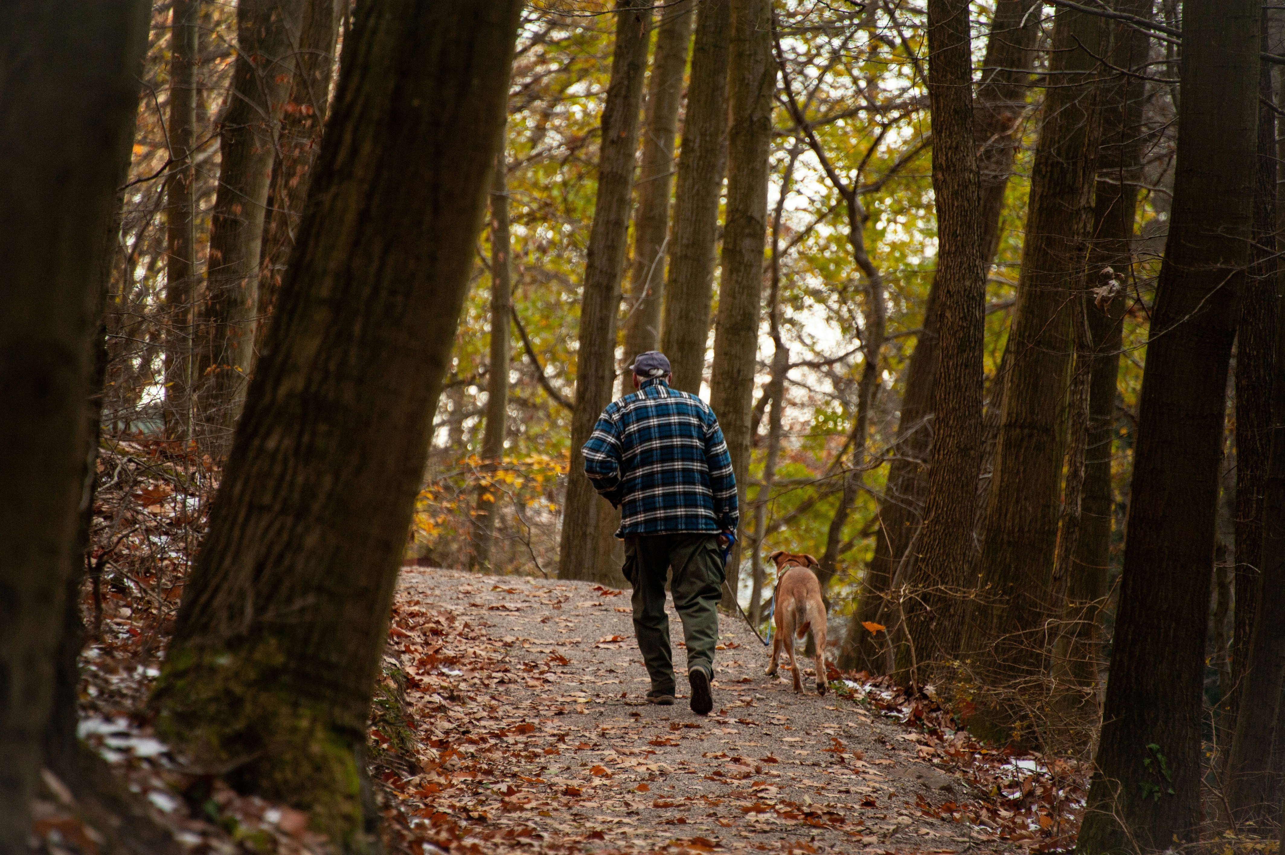 Photo by rrricharddd