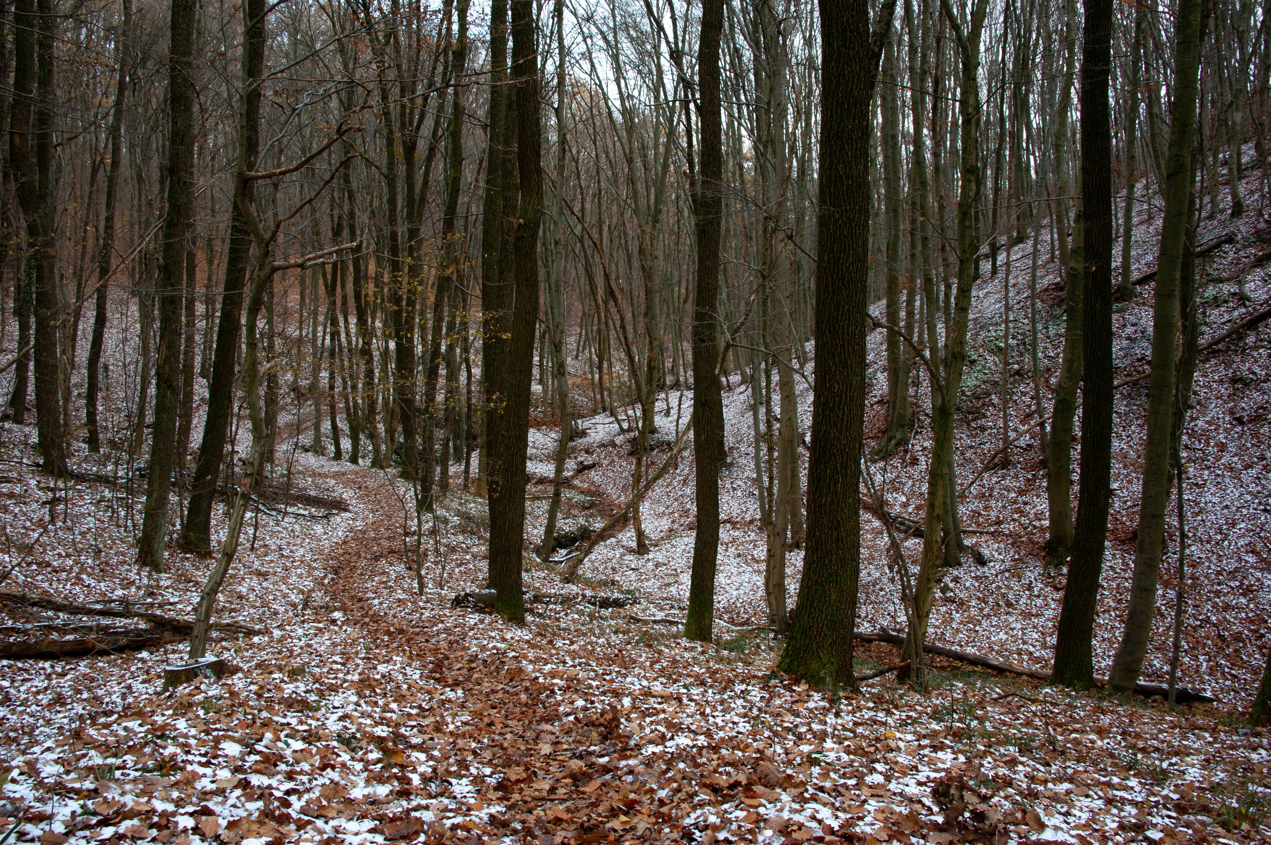 Photo by rrricharddd