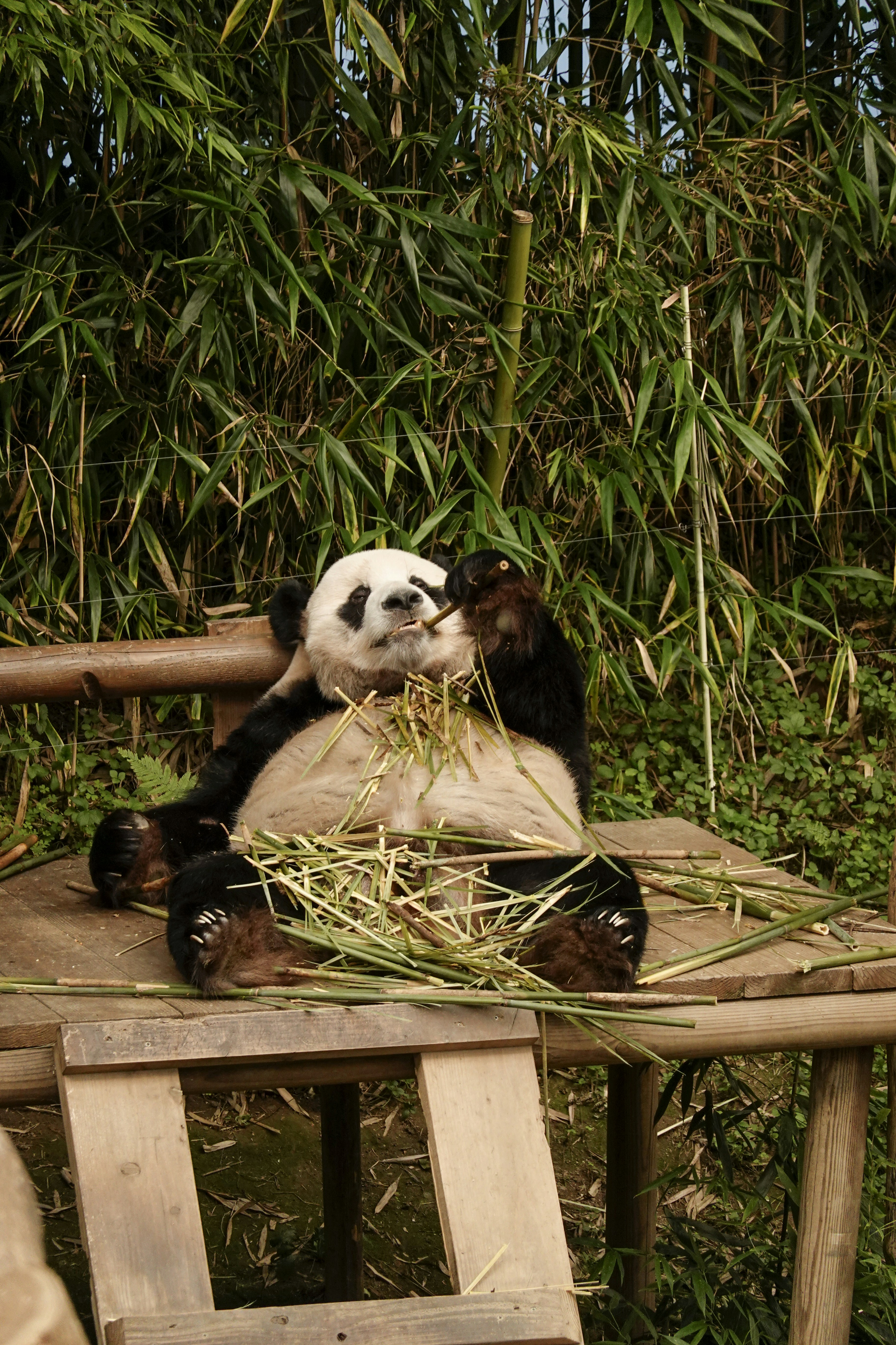 Whatever It Takes? China Is Stimulating, Again.