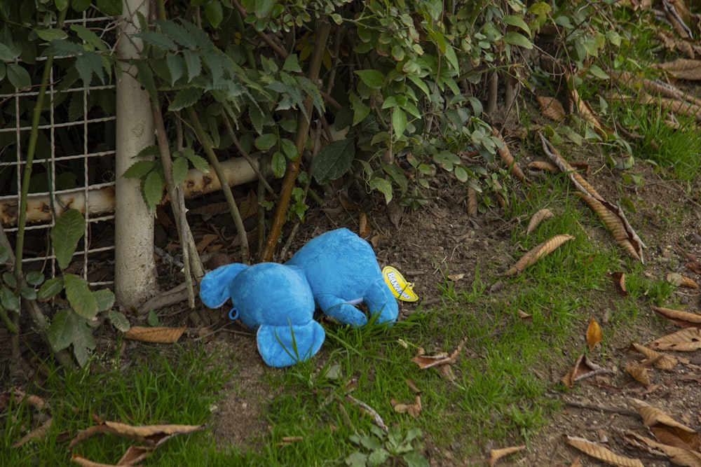a blue stuffed animal laying in the grass