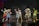 A group of performers in colorful animal costumes stand on a stage, each striking playful poses. The characters include a rabbit, a bear, a duck, and others, wearing vibrant outfits with various designs. The background appears to be a dark stage setting with subtle scenic elements.