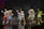 A group of performers in colorful animal costumes stand on a stage, each striking playful poses. The characters include a rabbit, a bear, a duck, and others, wearing vibrant outfits with various designs. The background appears to be a dark stage setting with subtle scenic elements.
