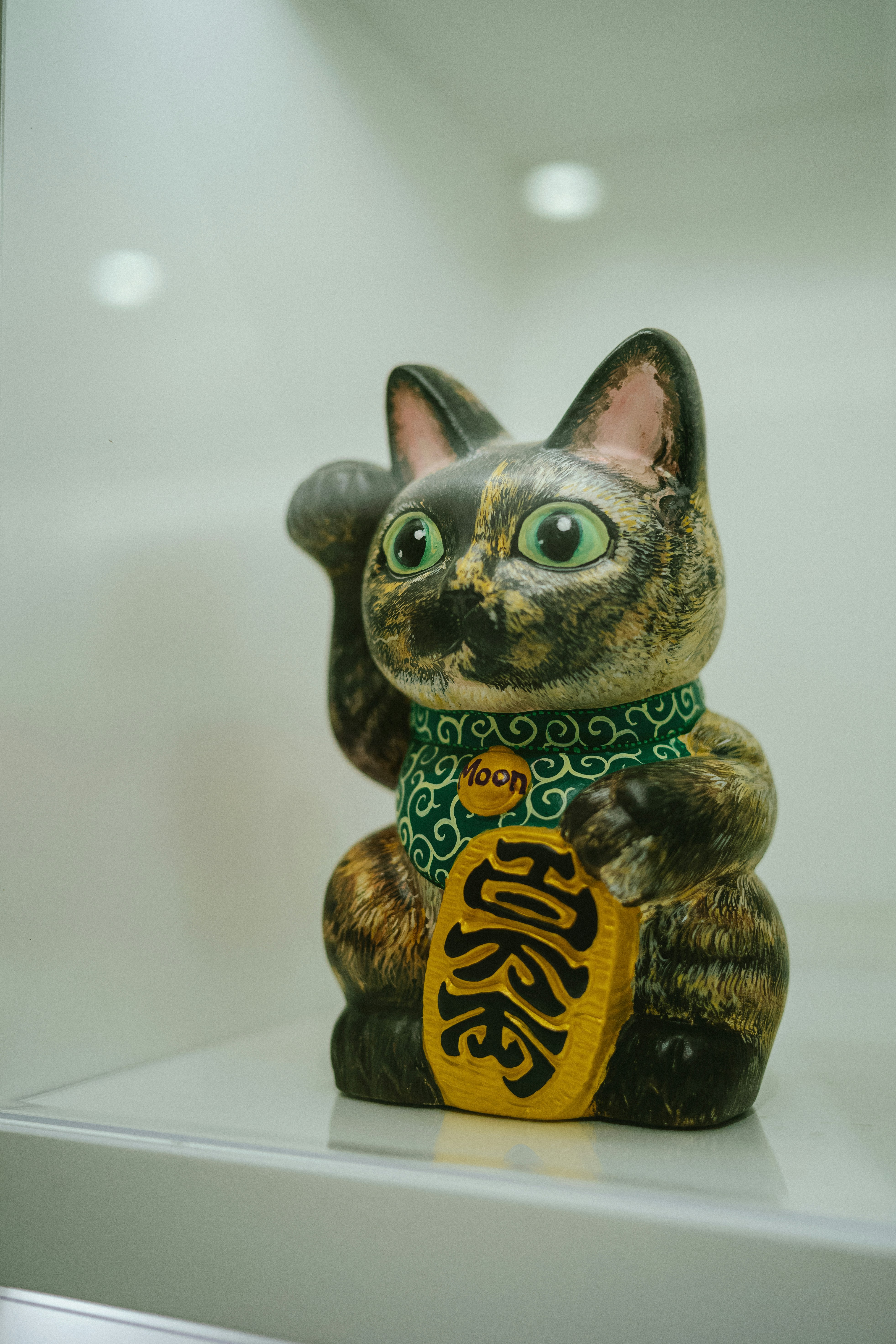 Photo by tommaomaoer