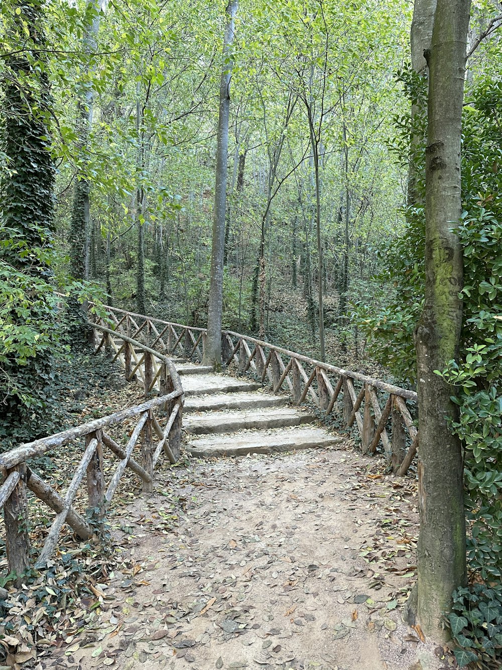 a set of stairs leading up to the top of a hill