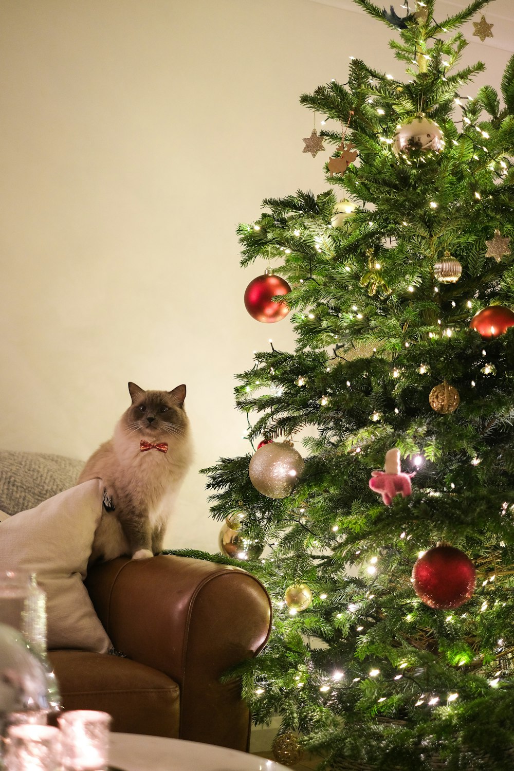 Eine Katze sitzt auf einem Stuhl vor einem Weihnachtsbaum