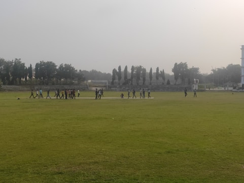 A group of fans watching a cricket match while discussing player performances.