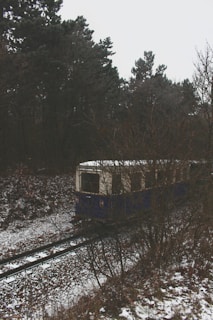 a train traveling through a snow covered forest