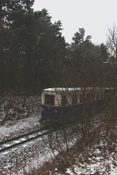 a train traveling through a snow covered forest