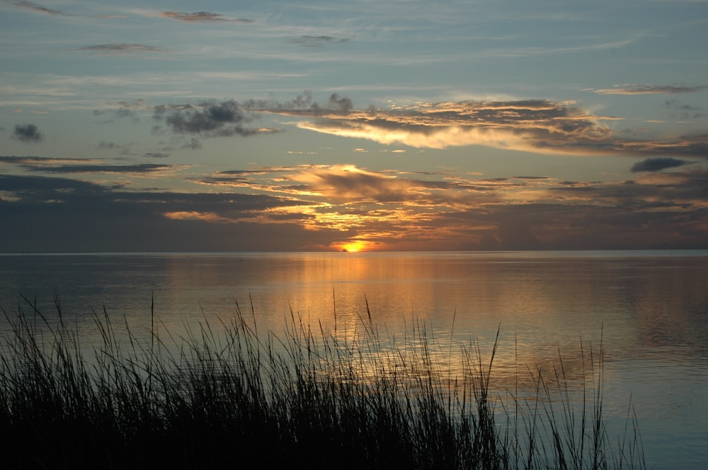 the sun is setting over the water with tall grass in the foreground