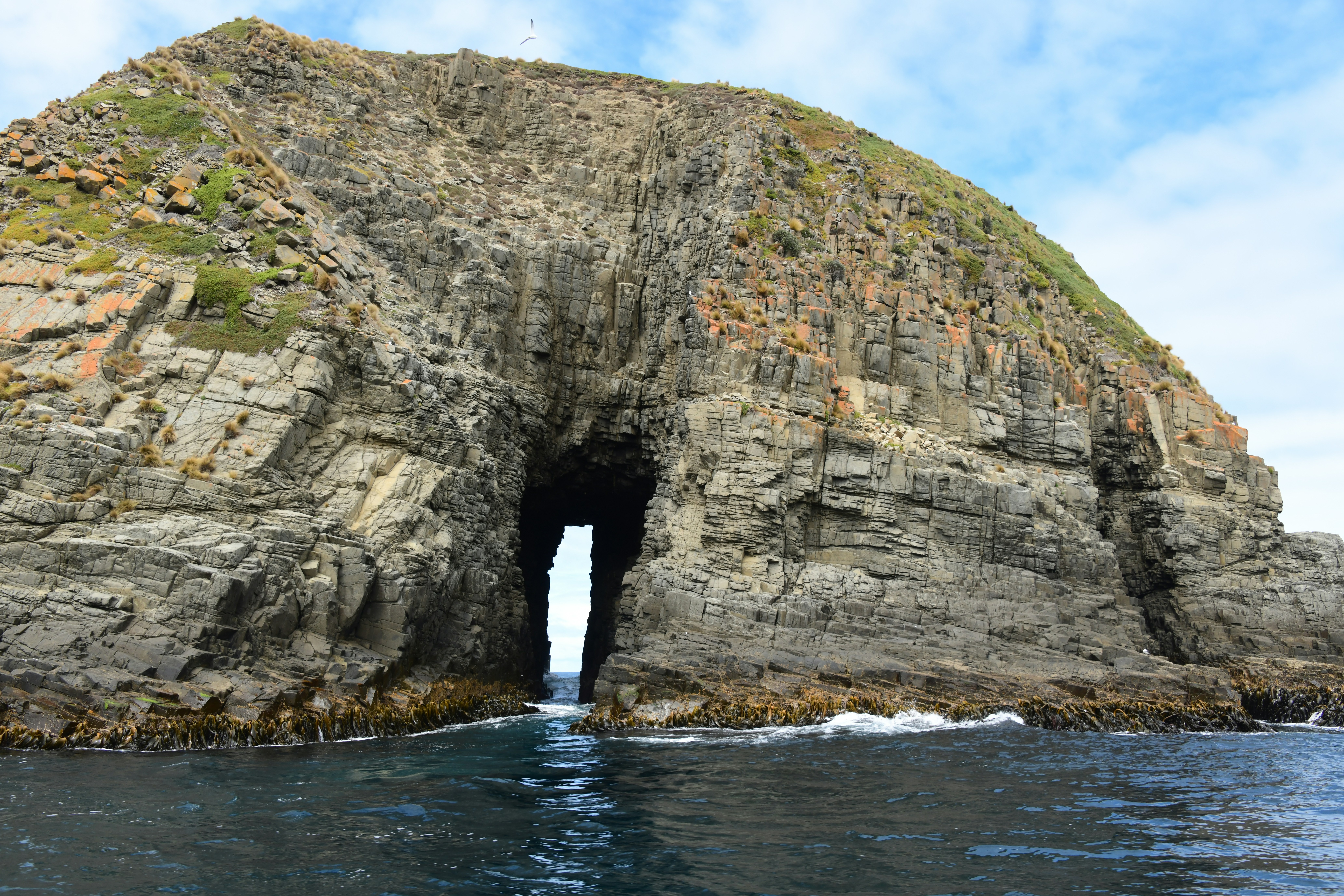 Photo by richard7seals