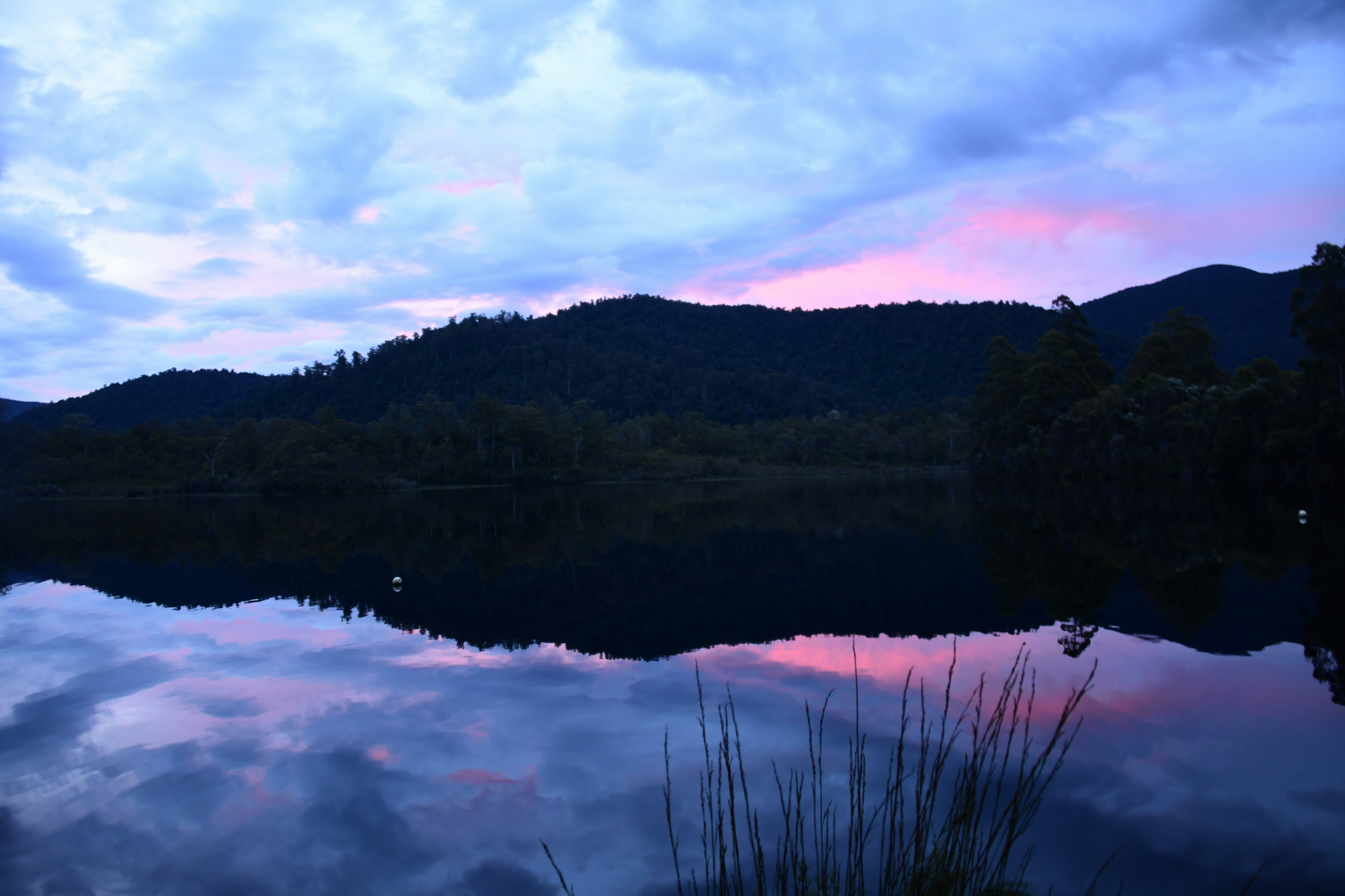 Photo by richard7seals