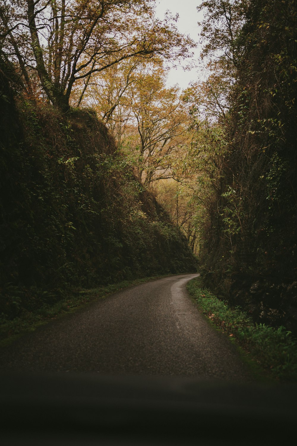 an empty road surrounded by trees and bushes