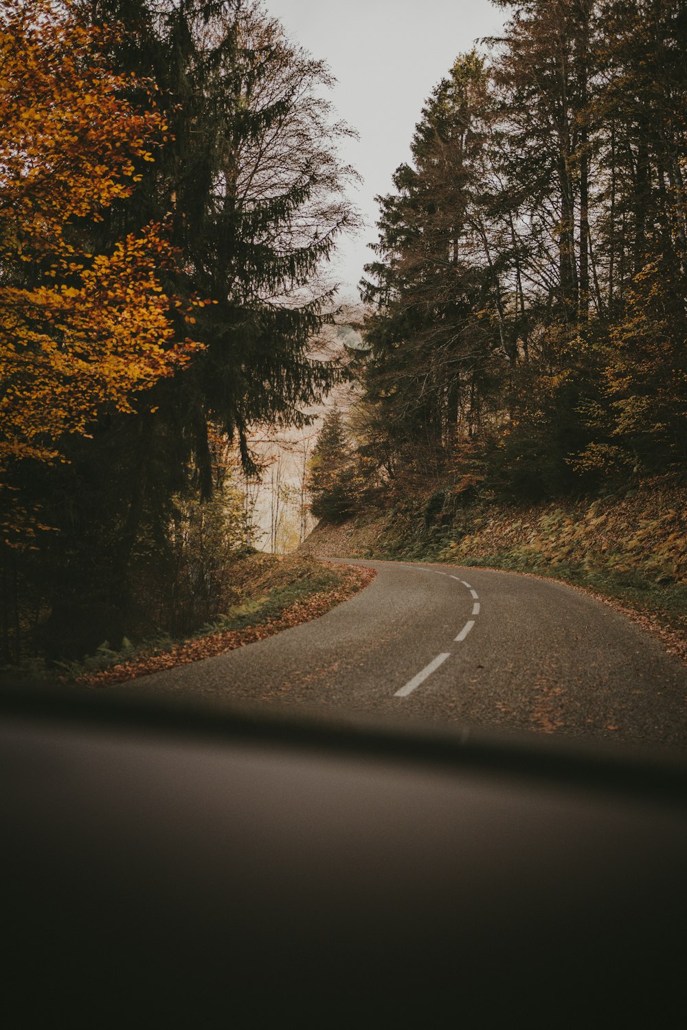 a car driving down a road surrounded by trees