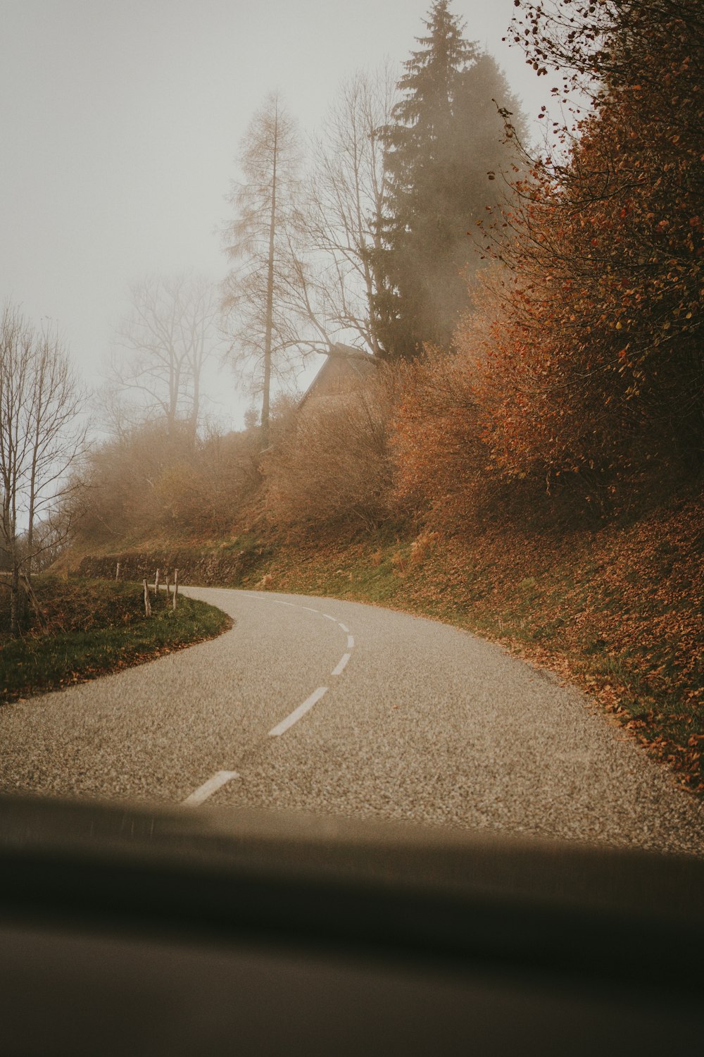 a winding road with trees and bushes on both sides