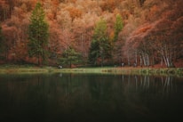 Visitors standing beside a serene loch surrounded by autumn-colored trees in the Highlands.