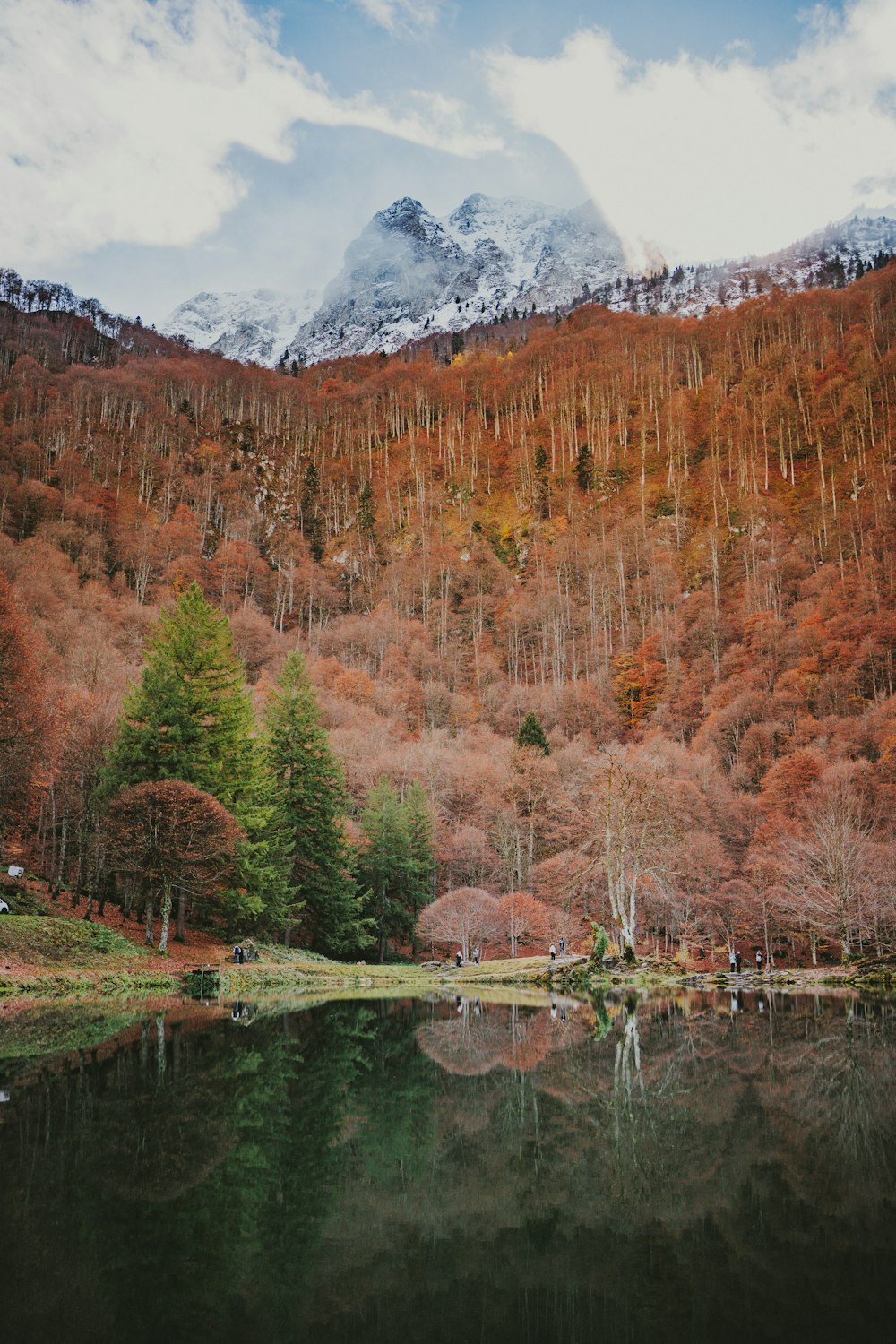 a lake surrounded by trees with a mountain in the background