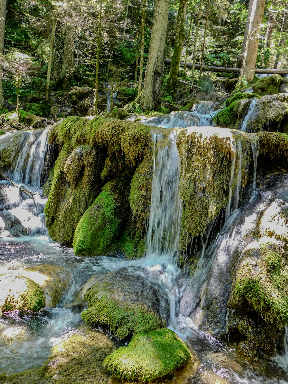 a small waterfall in the middle of a forest