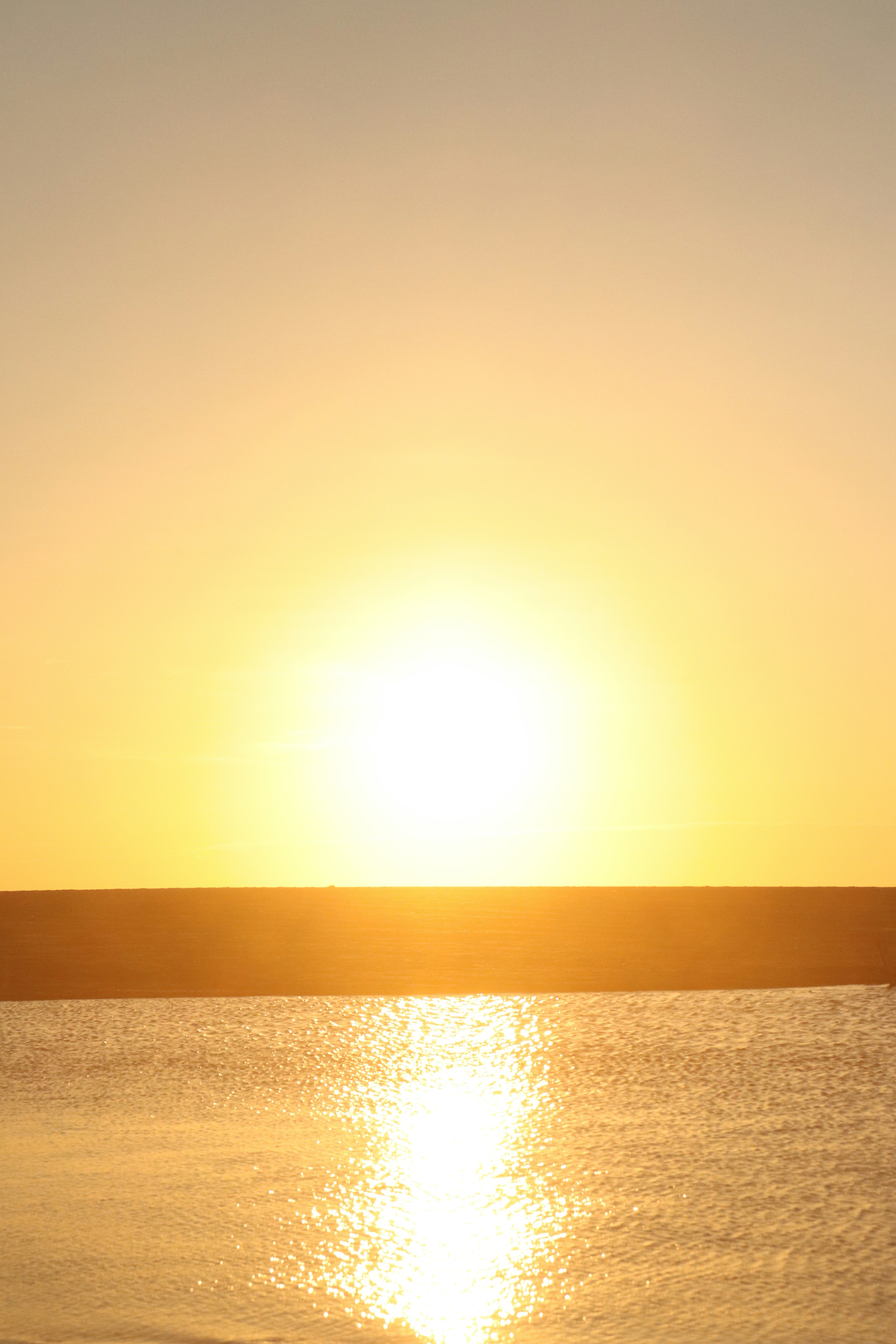 Photo by elee_334105