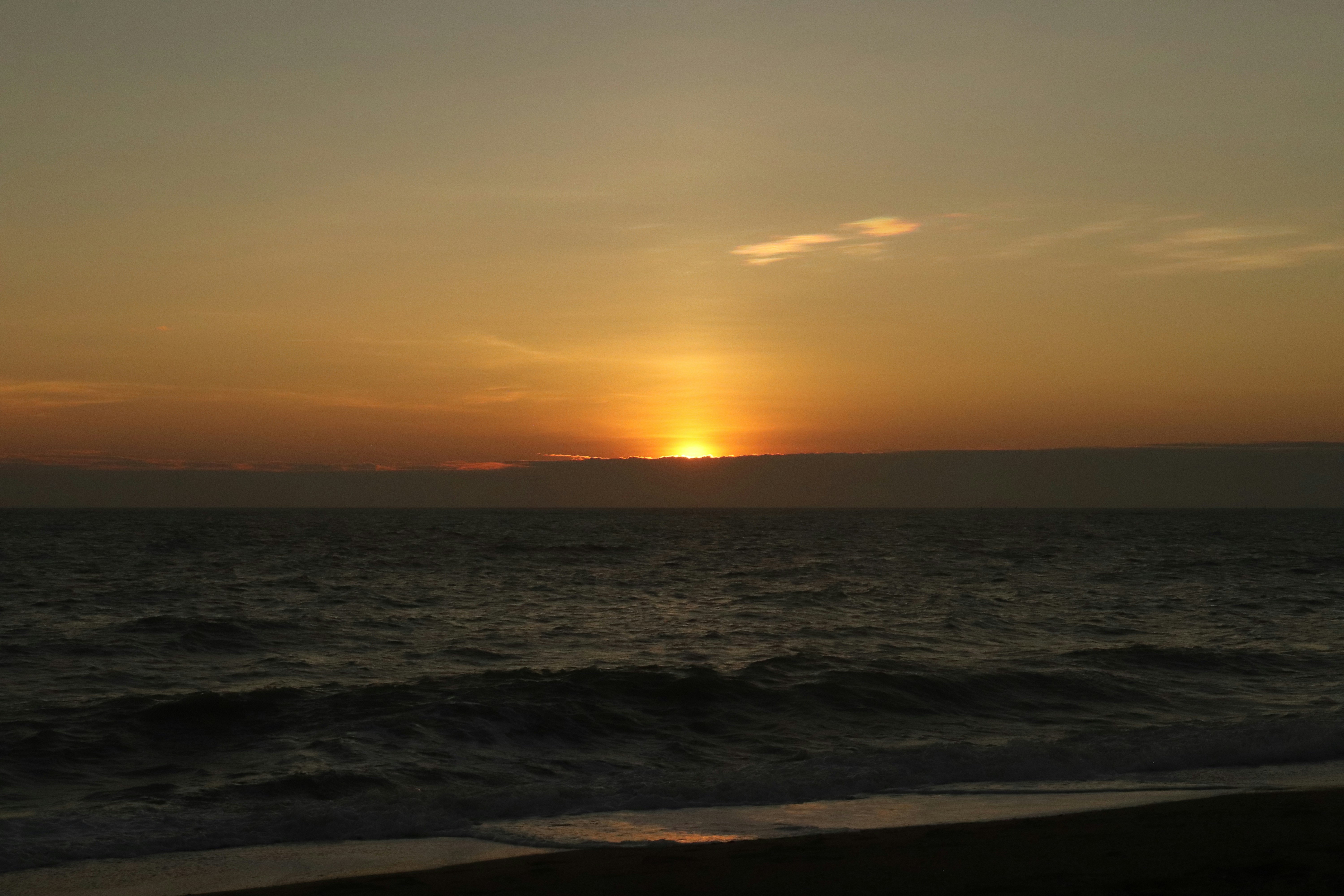 Photo by elee_334105