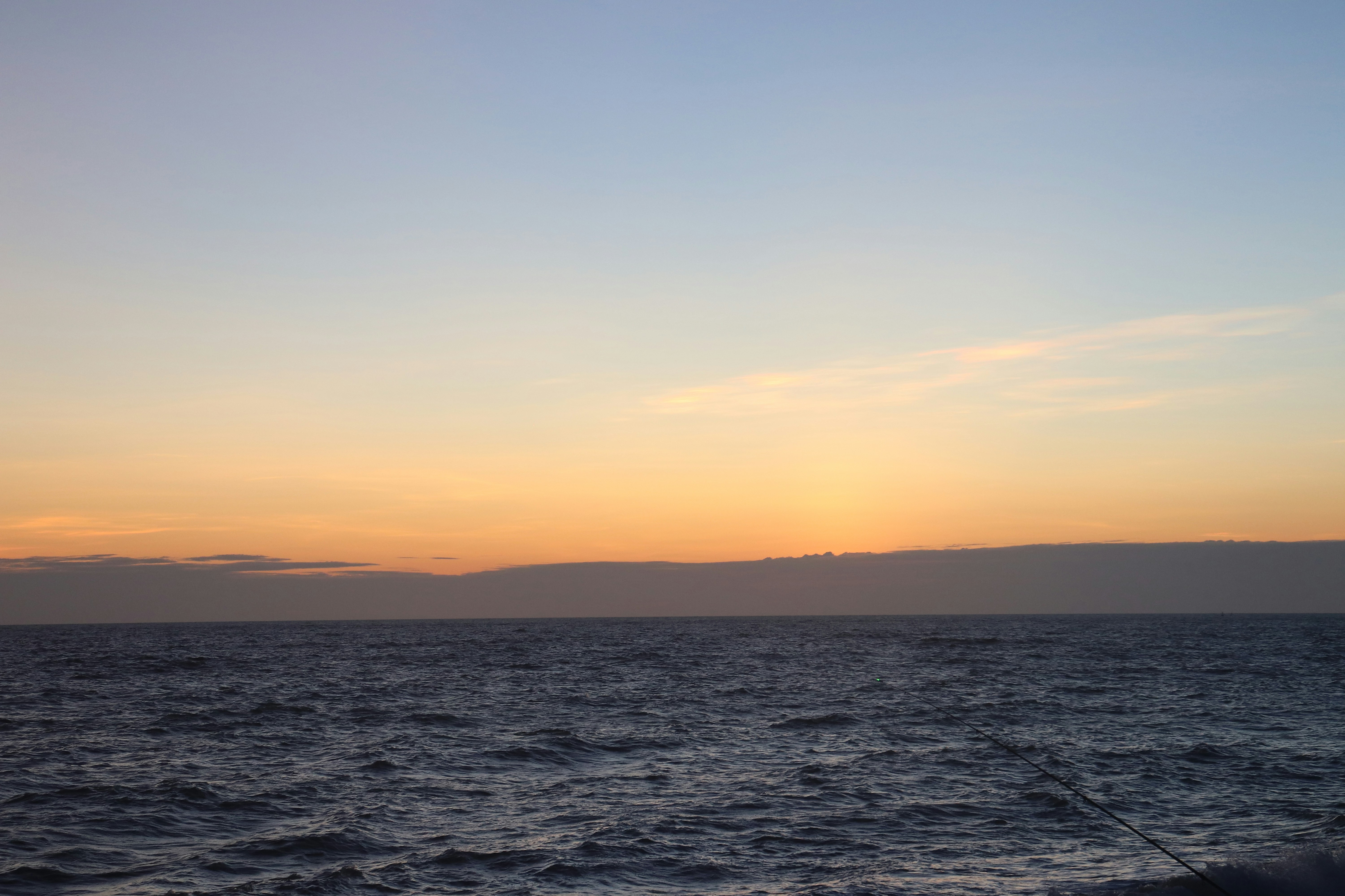 Photo by elee_334105